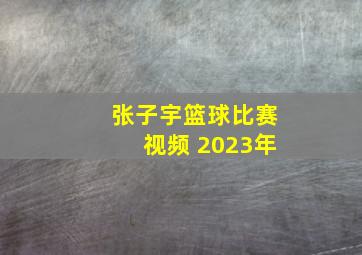 张子宇篮球比赛视频 2023年